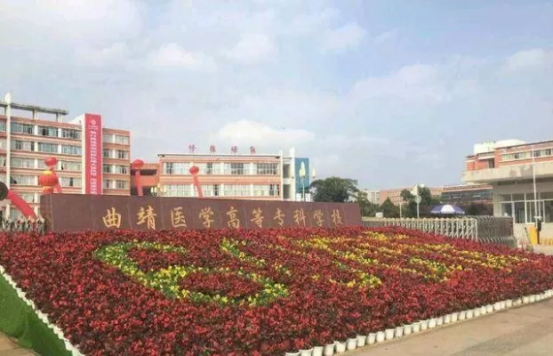 曲靖健康医学院是一本还是二本？升格本科后的机遇与挑战解析