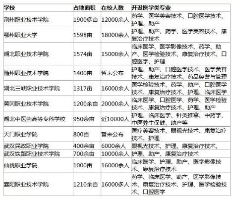  湖北护理专业哪个学校最好？深度剖析院校实力与就业前景