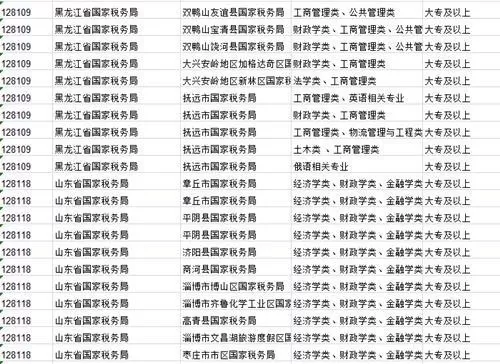 大专学历考公务员有哪些职位？五大优质岗位助你精准定位
