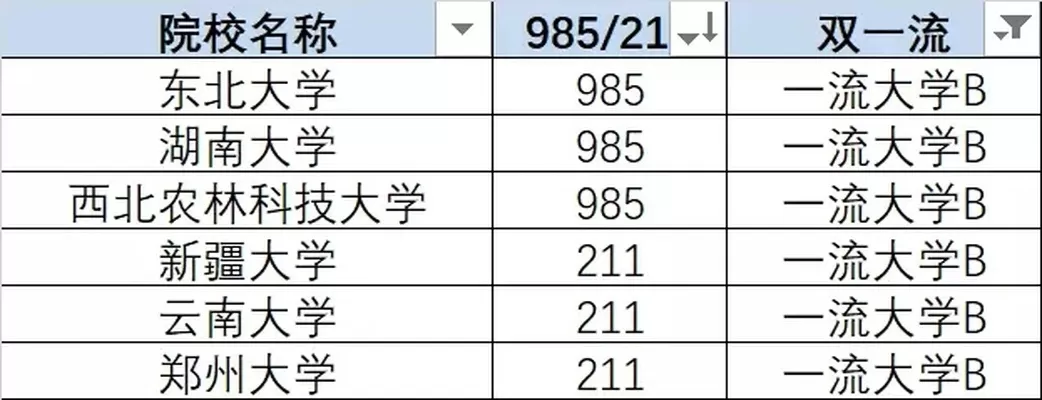  985 211 双一流是什么？它们如何塑造中国高等教育的未来？