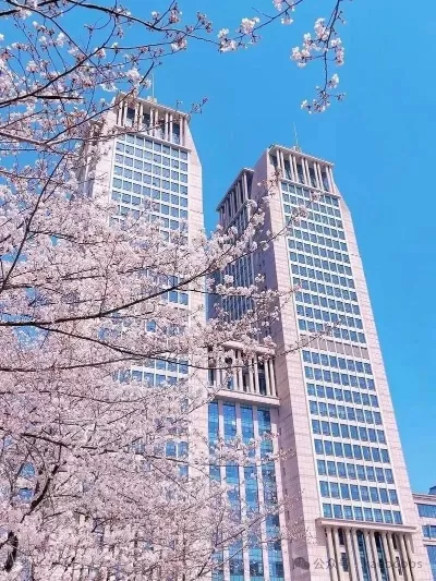  复旦大学研究生专业有哪些？全面解析2026年硕士招生专业布局