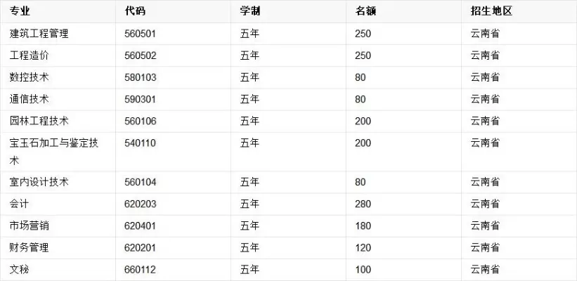 云南科技信息职业技术学院是什么学校？专注职业教育与科技融合的实干摇篮